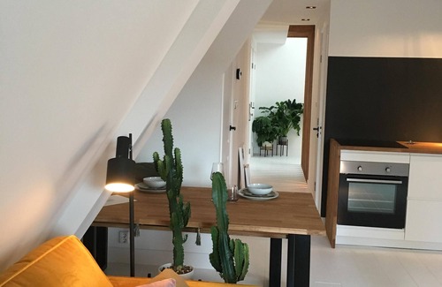 Alkmaar Apartment | Botanical City Apartment