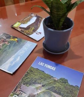 Province of Tucuman Apartment | Botanical house