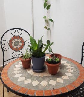 Province of Tucuman Apartment | Botanical house