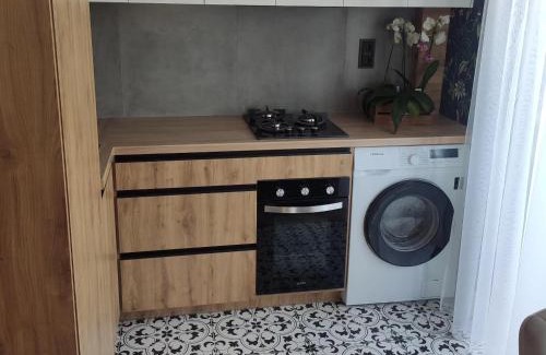 Kremenchuk Apartment | BotaNika