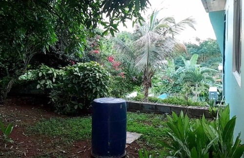 Saint Andrew House | Bougainvillea Palmsnn