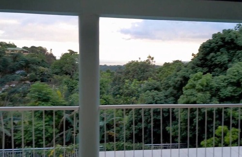 Saint Andrew House | Bougainvillea Palmsnn