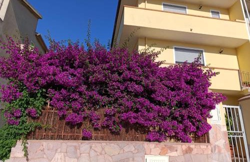 Olmedo House | Bouganville