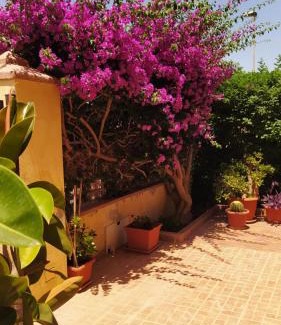 Olmedo House | Bouganville