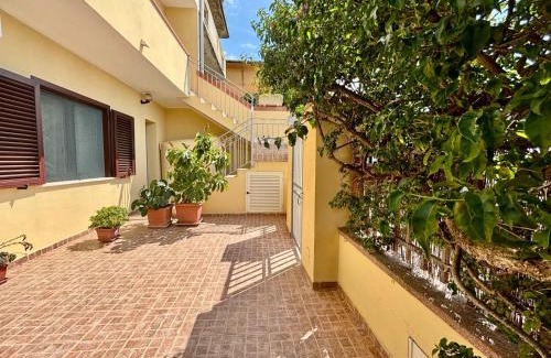 Olmedo House | Bouganville