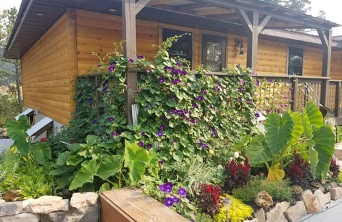Sturgis Bed & Breakfast | Boulder Canyon Bed & Breakfast