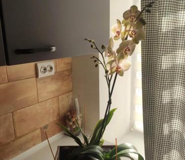 Kremenchuk Apartment | Boulevard