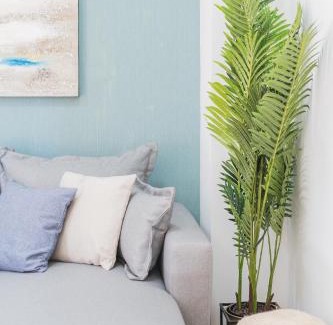 Almeria Centro Apartment | BOUTIQUE APARTMENTS- LA GLORIA 1908