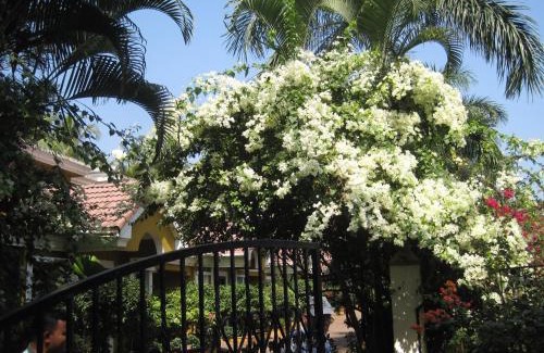 Betalbatim Villa | Boutique Villa, beach 10min, cook on request