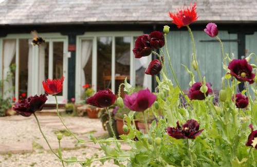 Newquay House | Bowgie at Trewerry Cottages - Away from it all, close to everywhere
