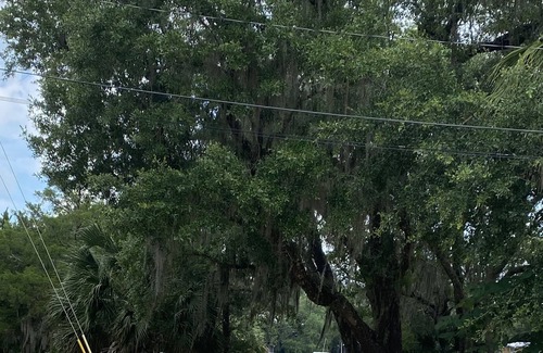Steinhatchee House | Bowlegs Last Resort- private dock 2 slips
