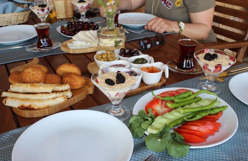 Bozcaada Hotel | Bozcaada Defne Bağ Evi