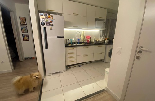 Recreio dos Bandeirantes Apartment | Cute place in quiet area -7 minutes by car to paradisiacal beaches! Pontal Beach