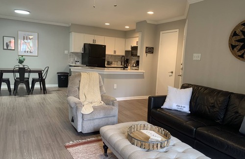 Astrodome Apartment | Brand New 1BR in the heart of Houston Med Center