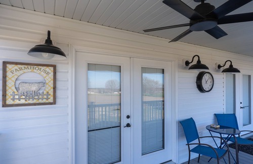 St. Clair County Apartment | Brand new apartment with full kitchen, porch and patio.1 King/1sofa bed/1 bathn