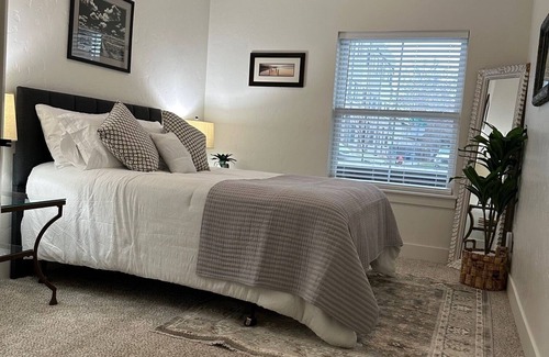 North End Apartment | Brand New Pet Friendly Efficient Apt Close to Downtown and Greenbelt