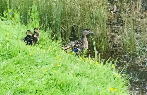Worcester Bed & Breakfast | Bransford Farm Fishery & B & B
