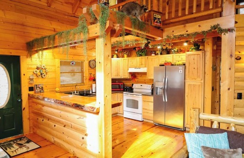 Blue Eye Cabin | Branson Missouri Luxury Log Cabin on Quiet Pine Ridge forest above Lake, Jacuuzi