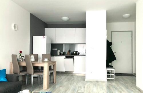 Old Town Apartment | Bratislava Old Town Brewery - Stein