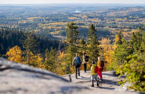 Koli Hotel | Break Sokos Hotel Koli Kylä