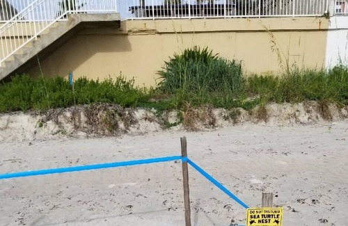 Daytona Beach Shores Condo | Breath Taking Views On No Drive Beach! 5 Star Ratings!