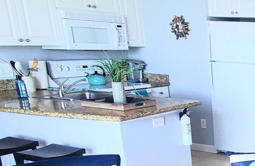 St. Petersburg - Clearwater Condo | Breathtaking Waterview Condo