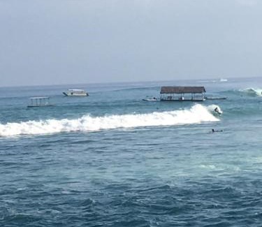 Mushroom Bay Resort | Breeze Villa