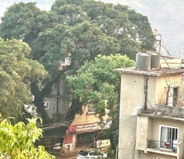 Mahabaleshwar Hotel | Breezy cozzy