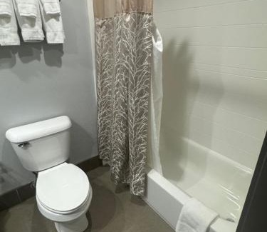 Brentwood Hotel | Brentwood Suites-Nashville Brentwood, an Ascend Collection Hotel
