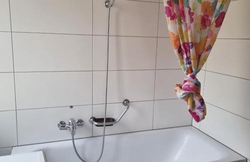 Brienz Apartment | Brienzersee - Direct lake view