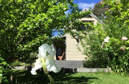 Newborough Cabin | Brigadoon Cottages