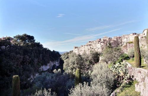 Tourrettes-sur-Loup Apartment | Bright apartment close to the village