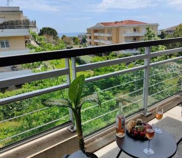 Plaine de la Brague Apartment | Bright & calm sea-view apartment