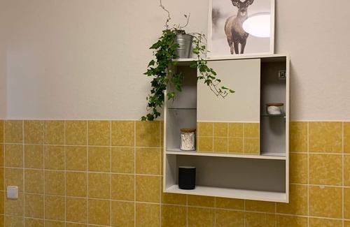 Braunschweig City Center Apartment | bright furnished 2 room apartment in a prime city center location in Braunschweig