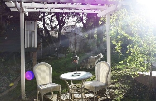 Los Gatos Apartment | Bright Garden Guest Suite in Los Gatos, Heart of Silicon Valley