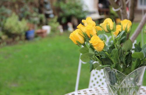 Springfield Apartment | Bright London Garden Studio!