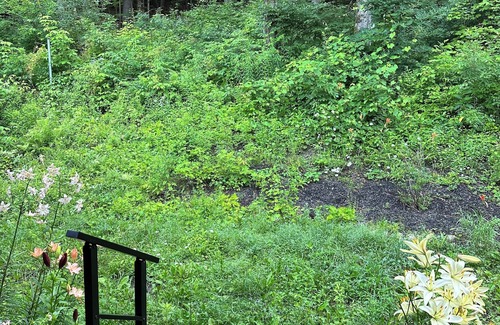 Pownal House | Bright Modern Secluded Vermont Home: Trout Pond + Trails, 5 Mins to Williamstown