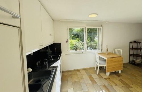 Wurenlos Apartment | Bright newly furnished apartment with workspace and garden area near Zurich