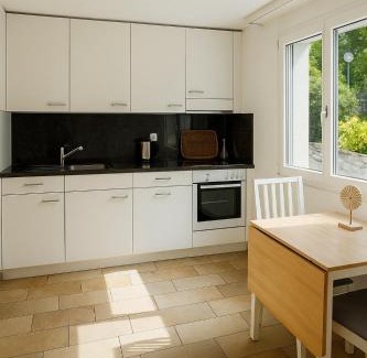 Wurenlos Apartment | Bright newly furnished apartment with workspace and garden area near Zurich