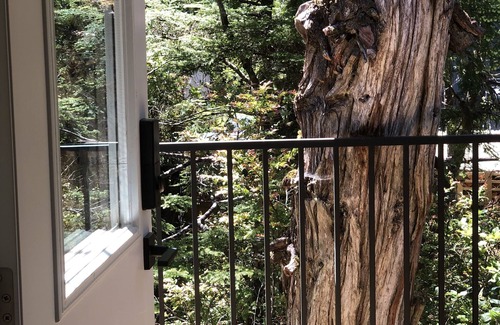 Ucluelet House | Bright & spacious 1 bedroom suite by the beach!