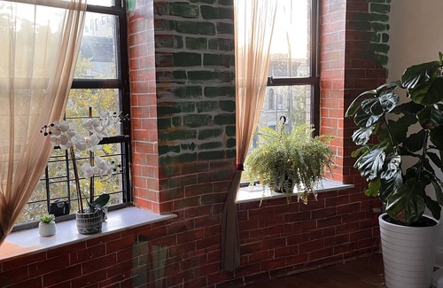 Upper Manhattan Apartment | Bright studio in Hamilton Heights