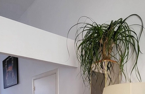 Helmet Apartment | Bright studio near Nato