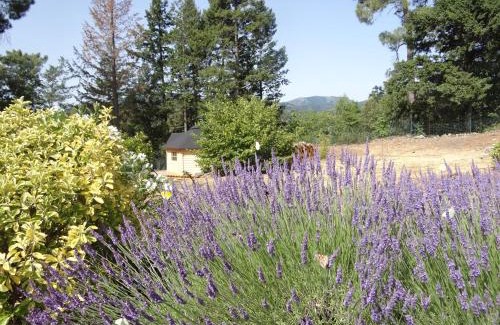 Lentilleres Bed & Breakfast | Brin d Ardèche