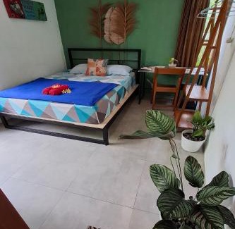 Yogyakarta House | Bring In House Yogyakarta