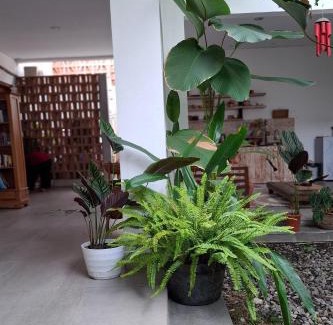 Yogyakarta House | Bring In House Yogyakarta