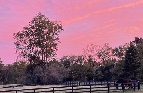 Middleburg Other | Bring your horses, leave your stress….
