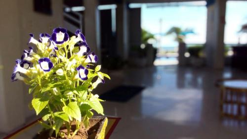 Flecheiras Hotel | Brisa Mar