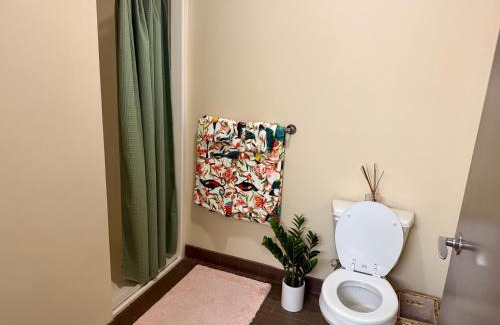 Plattsburgh Apartment | Broad Street Commons