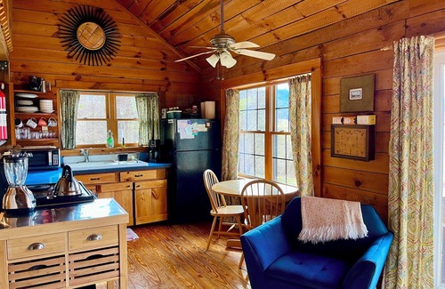 Hot Springs Cabin | Broadwing Farm Cabins -Pine Cabin- Hot Tub with Mineral Water