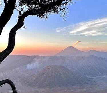 Ngadisari House | Bromo Holiday Guest House